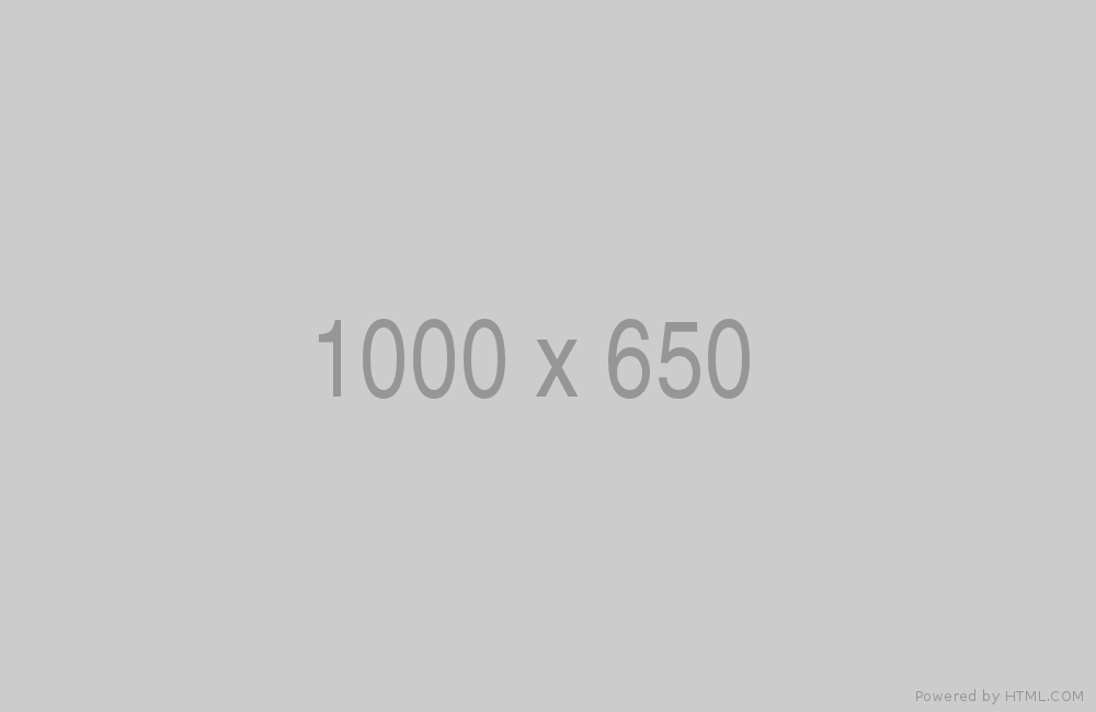 アナ スイ 限定ネックレス 登場する